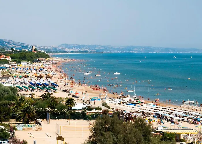 Cavalluccio Marino I1 Silvi Silvi Marina